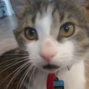 Meet your Posher, Heather